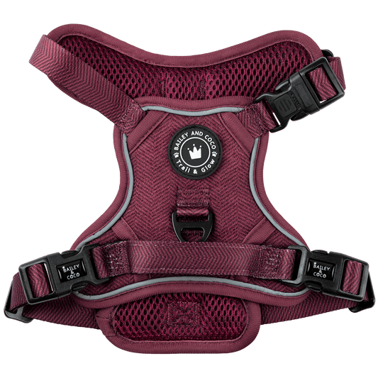 Trail & Glow® Dog Harness - Mulberry Tweed.