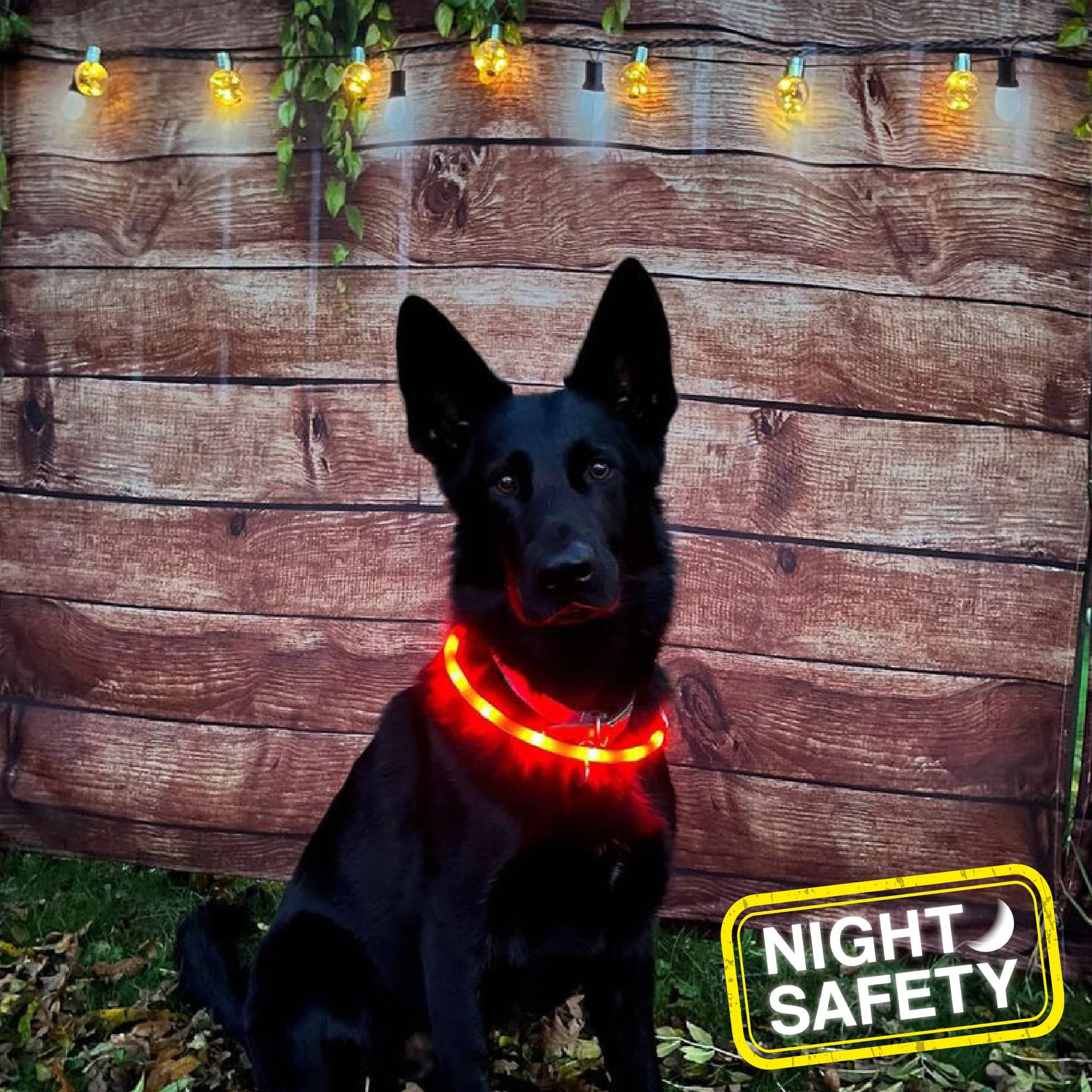 High visibility flashing dog safety light band – waterproof