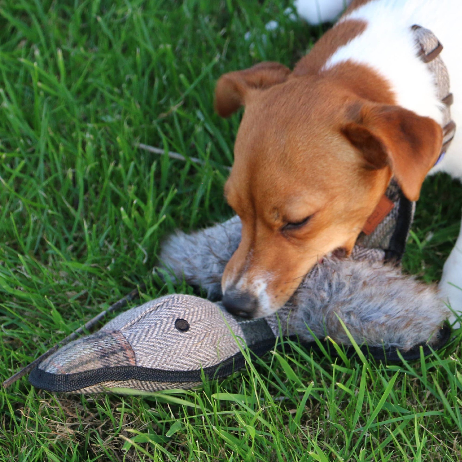 Ancol Heritage Tweed Duck plush dog toy detail