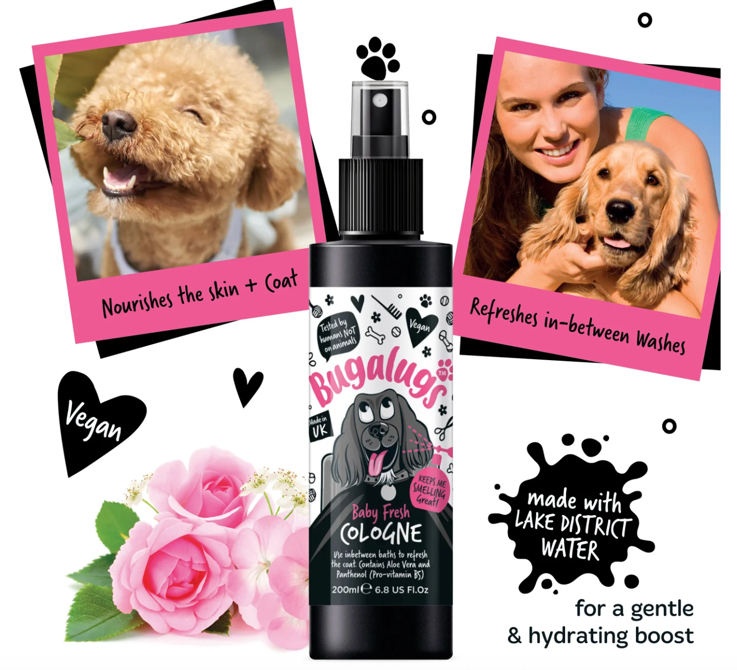 Applying Bugalugs Baby Fresh Dog Cologne to a dog between washes