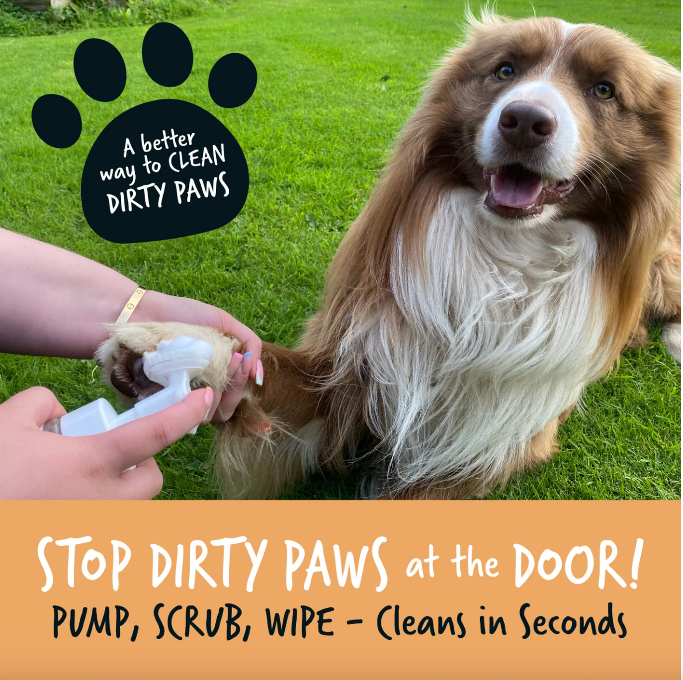 Using Bugalugs oatmeal no-rinse paw cleaner on muddy dog paws after a walk