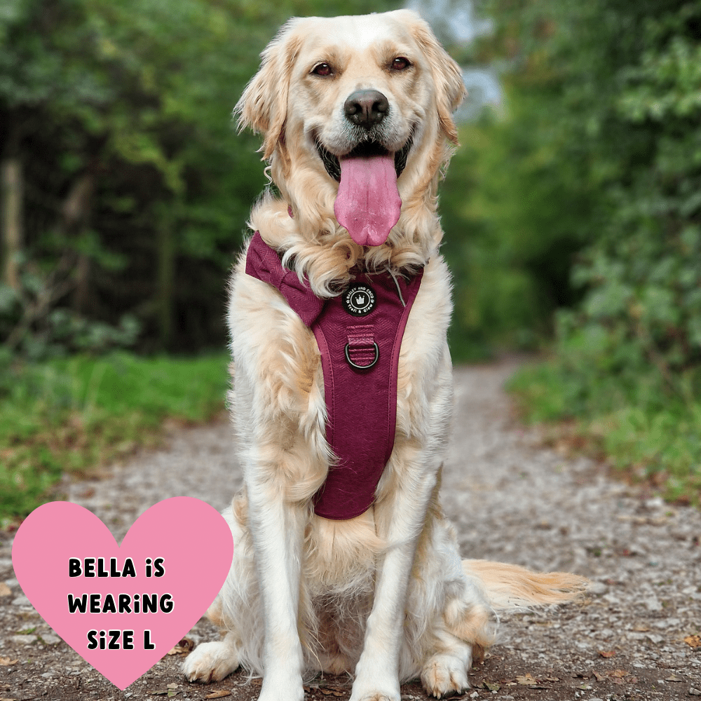Trail & Glow® Dog Harness - Mulberry Tweed.