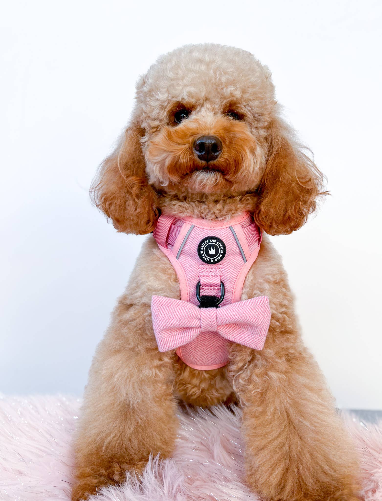 Bow Tie - Bubblegum Pink Tweed.