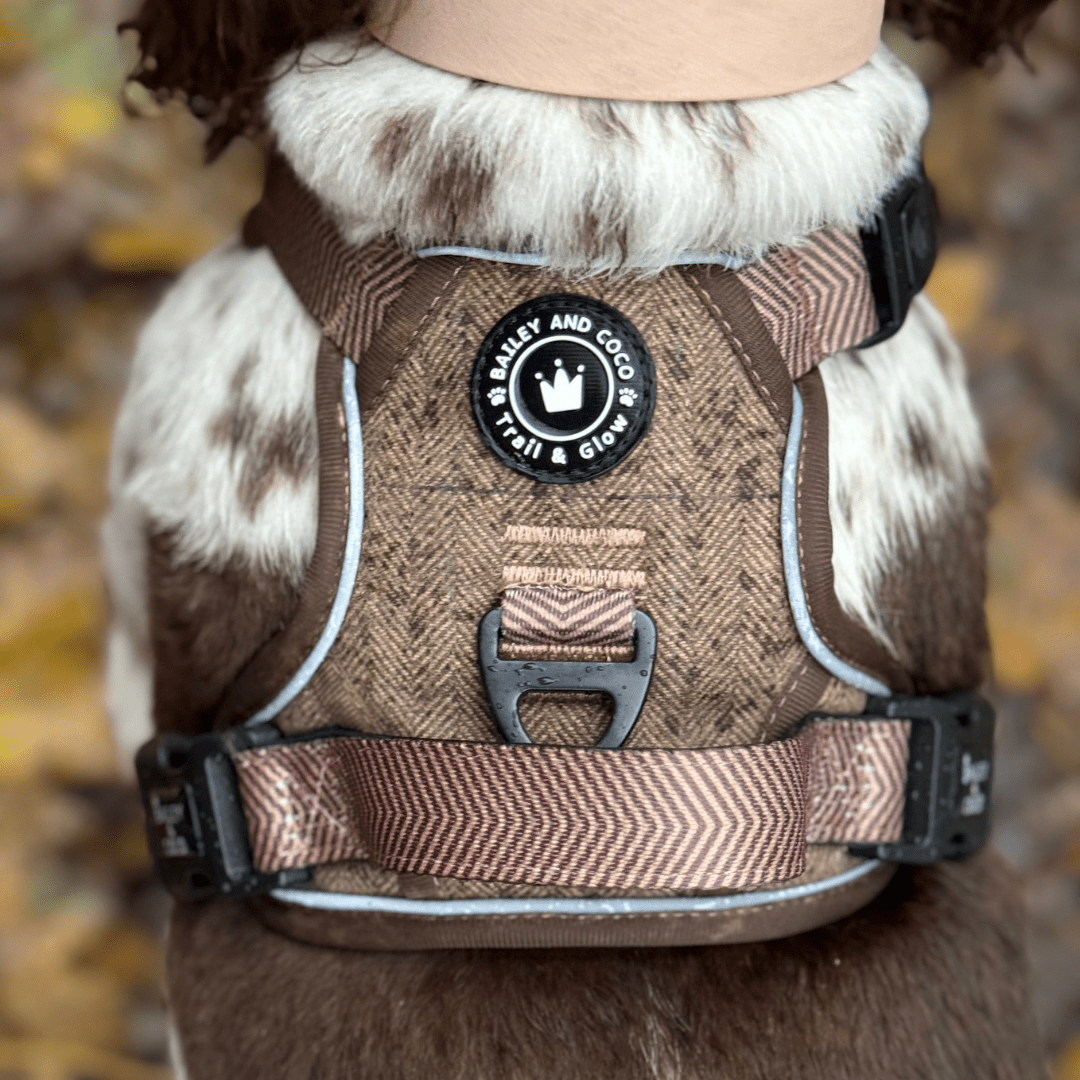 Oxford Tweed full collection flatlay — harness, collar, lead, poo bag holder and bow tie by Bailey and Coco