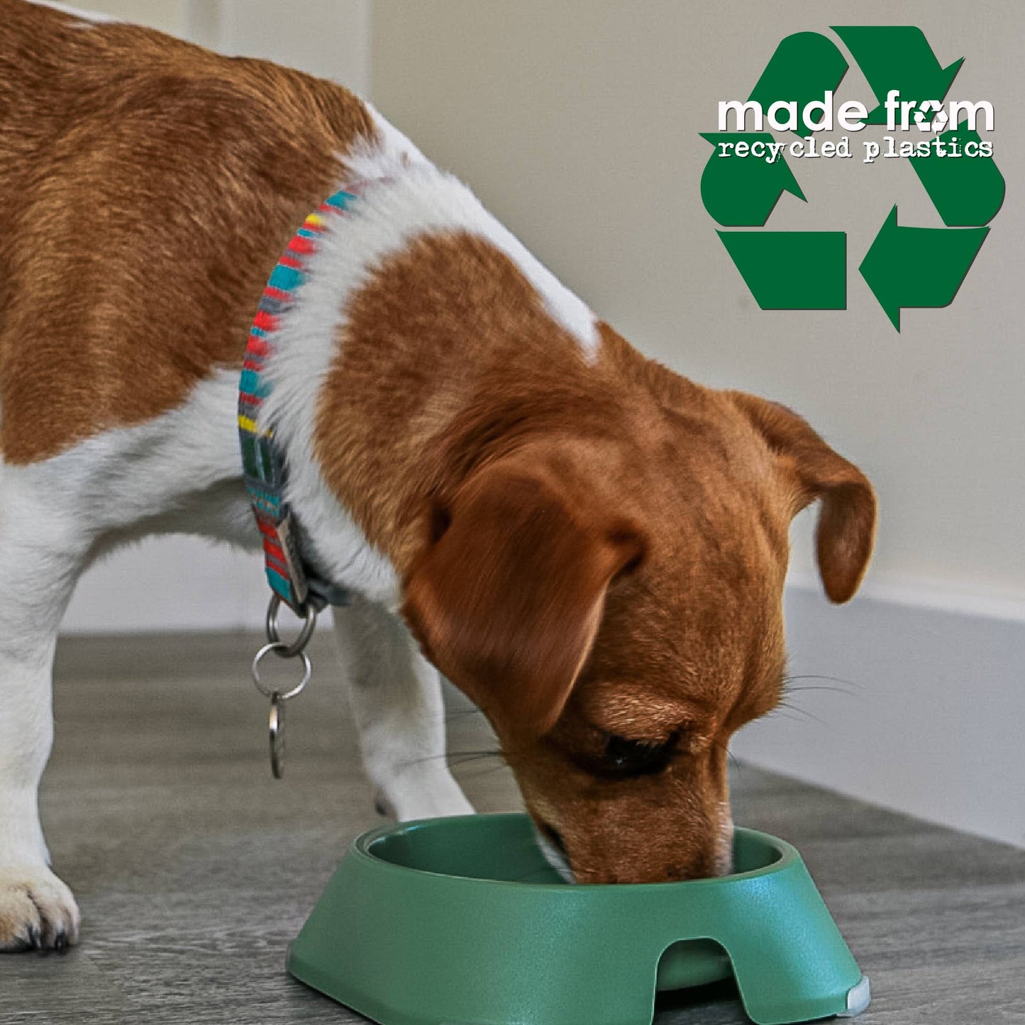 Ancol Made From recycled green dog bowl detail