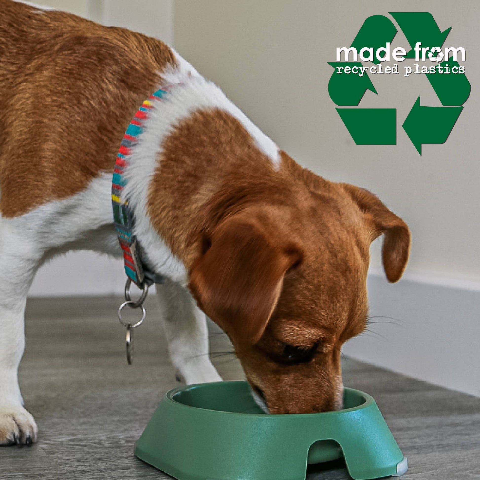 Ancol Made From recycled green dog bowl detail