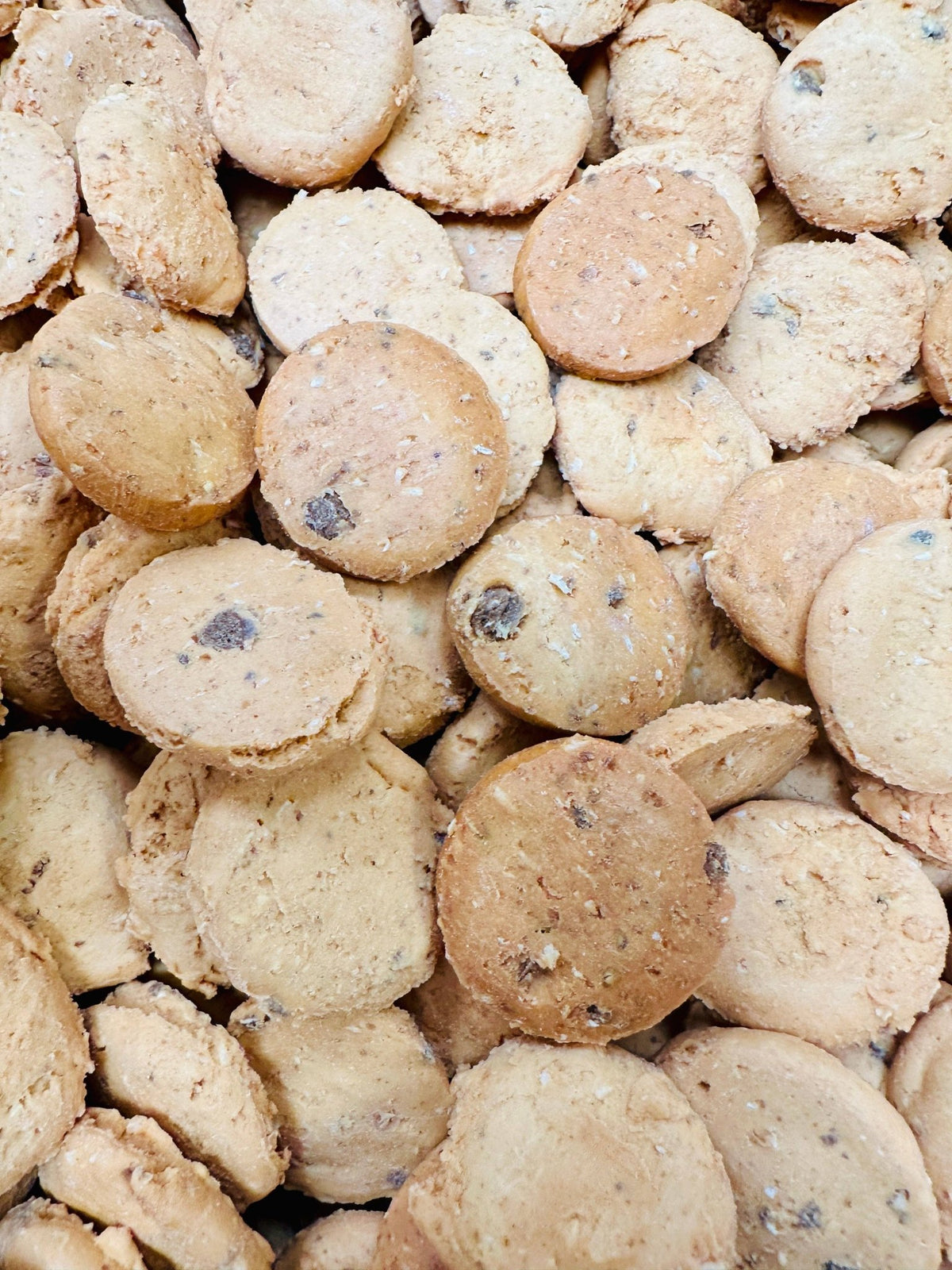 Life of Riley Mini Cookies pack — home compostable pouch, 100% natural vegan dog treats