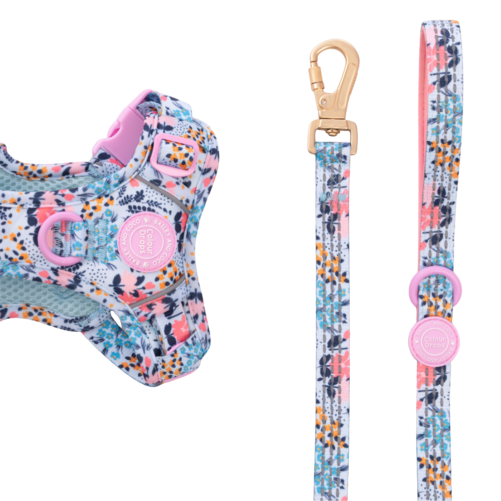 Bailey & Coco Spring Dreams 5ft dog lead, Colour Drops floral design