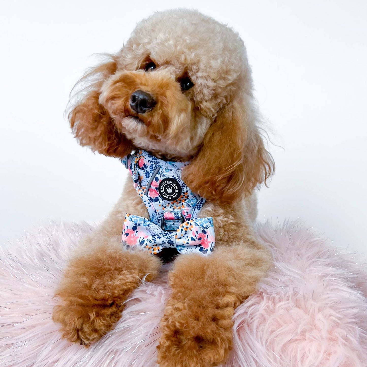 Trail & Glow® Dog Harness - Spring Dreams