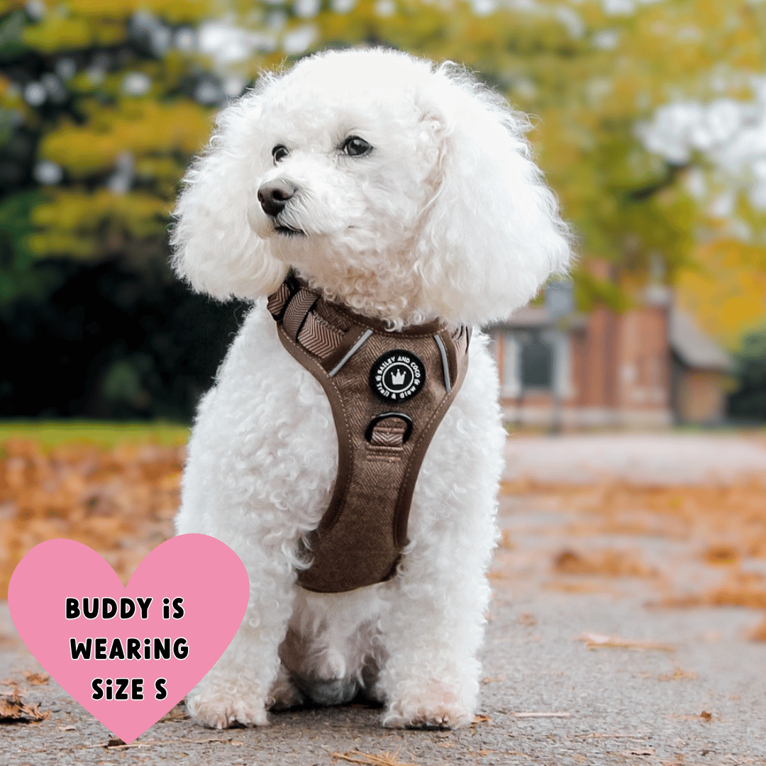Oxford Tweed harness size guide showing neck, chest and back length measurements for XS to XL