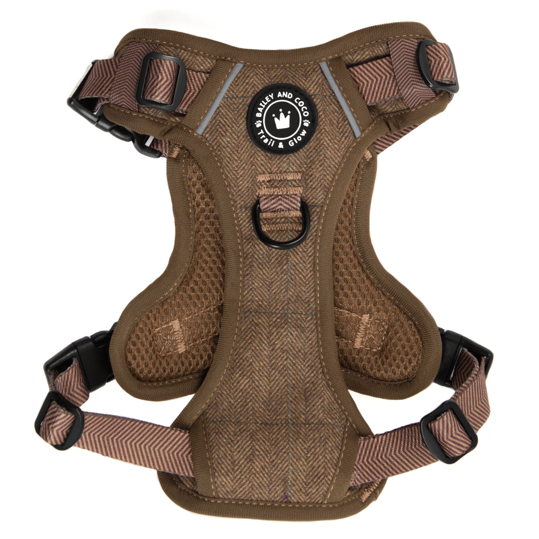 Oxford Tweed harness back view showing reflective strip and back handle detail