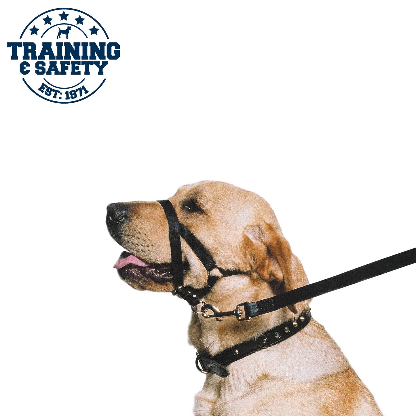 Ancol Nylon Dog Training Halter – Head Collar to Stop Pulling