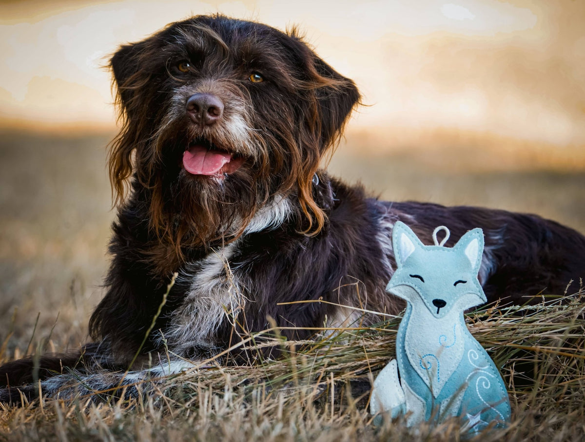 Flurry the Arctic Fox – Christmas Eco Dog Toy - Hairy Dogs (Cambs) Ltd