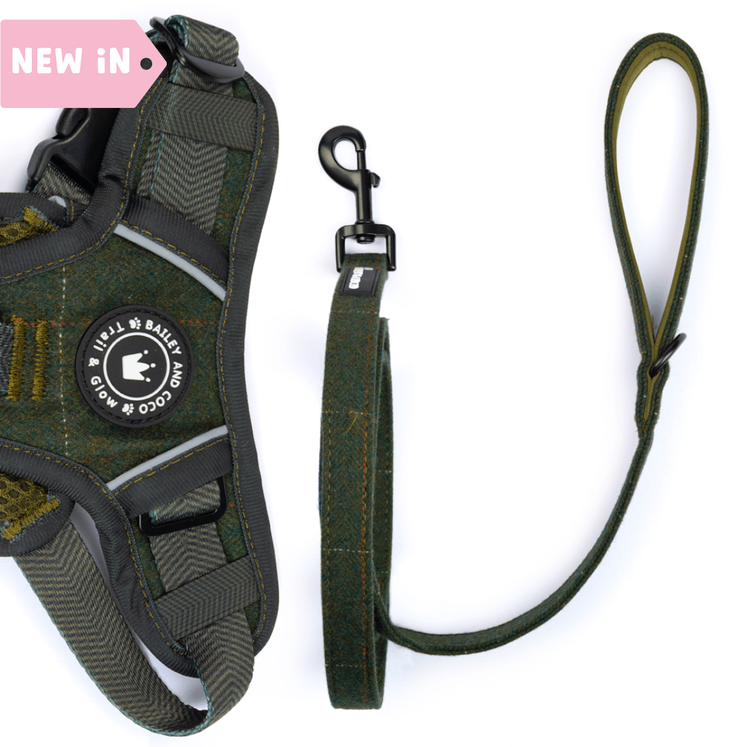 Bailey & Coco 5ft dog lead in Forest Tweed — padded neoprene handle and D-ring