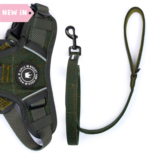 Bailey & Coco 5ft dog lead in Forest Tweed — padded neoprene handle and D-ring