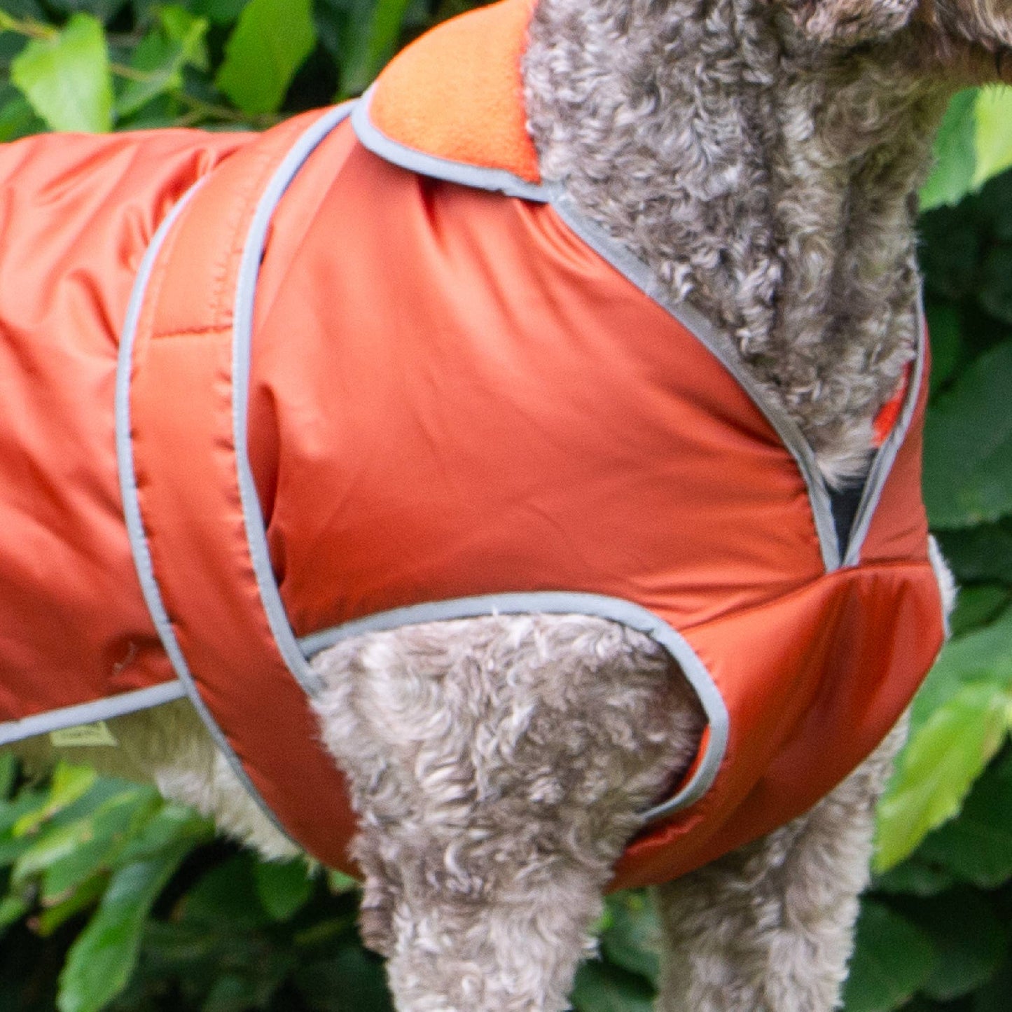 Ancol Stormguard All-Weather Terracotta Dog Coat – Waterproof, Fleece-Lined & Reflective
