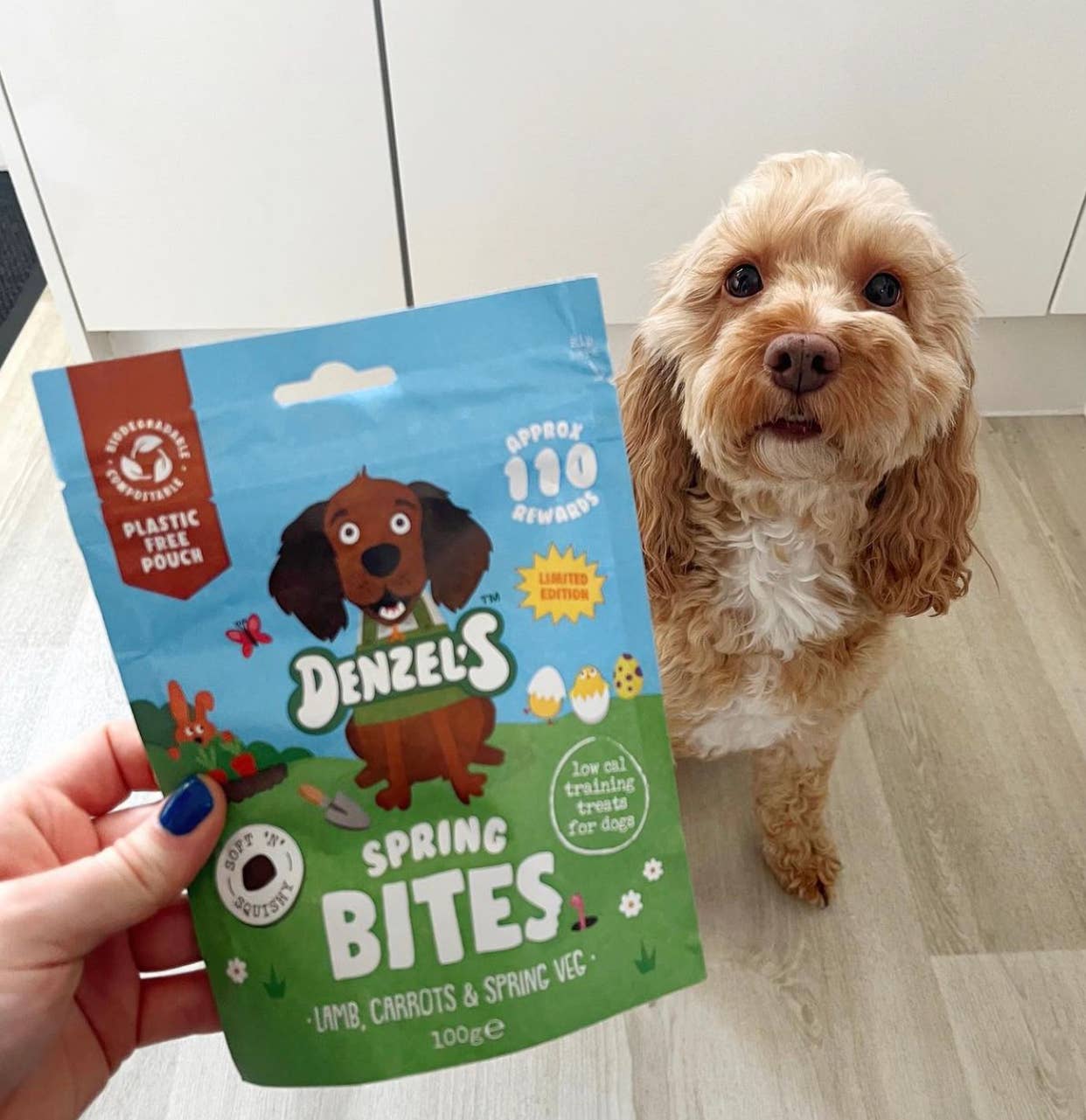 Denzel's Spring Bites pouch held in one hand next to a cream-coloured dog to show pack size and front-of-pack design