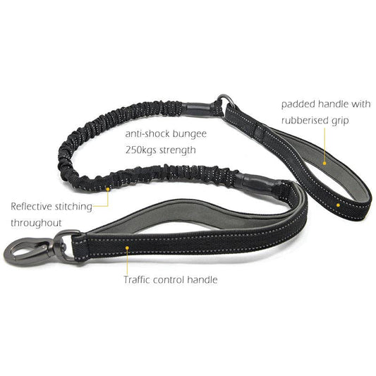Miro & Makauri Anti Shock Bungee Dog Lead with Traffic Grip
