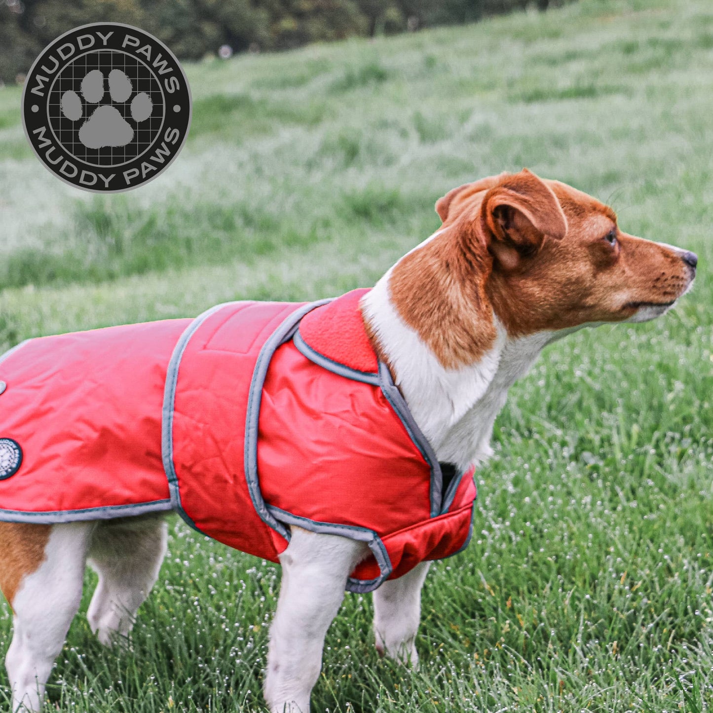 Stormguard All weather Coat : Poppy Red