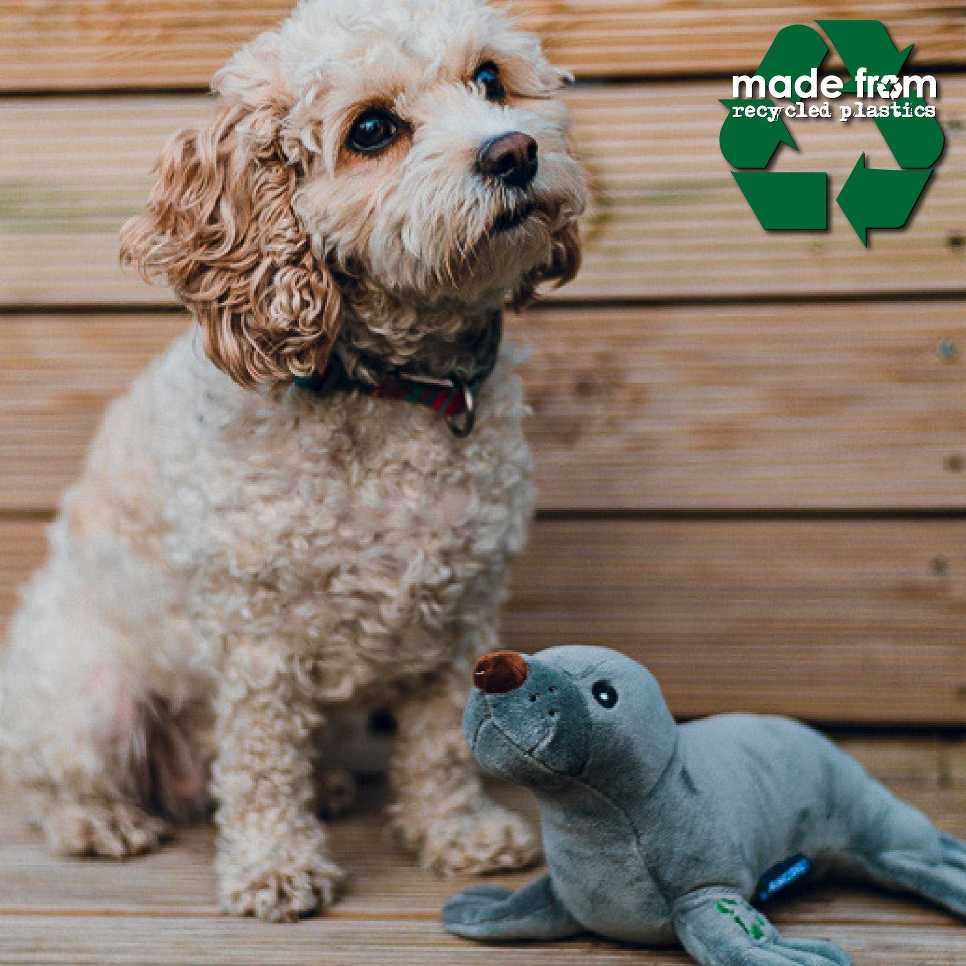 Dog sitting with Made From Seal Dog Toy, eco-friendly plush made from recycled materials with squeaker.