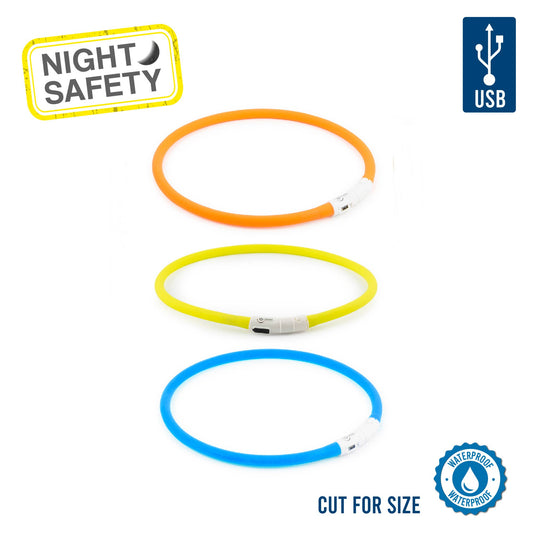 Ancol Rechargeable Flashing Dog Band in neon colours