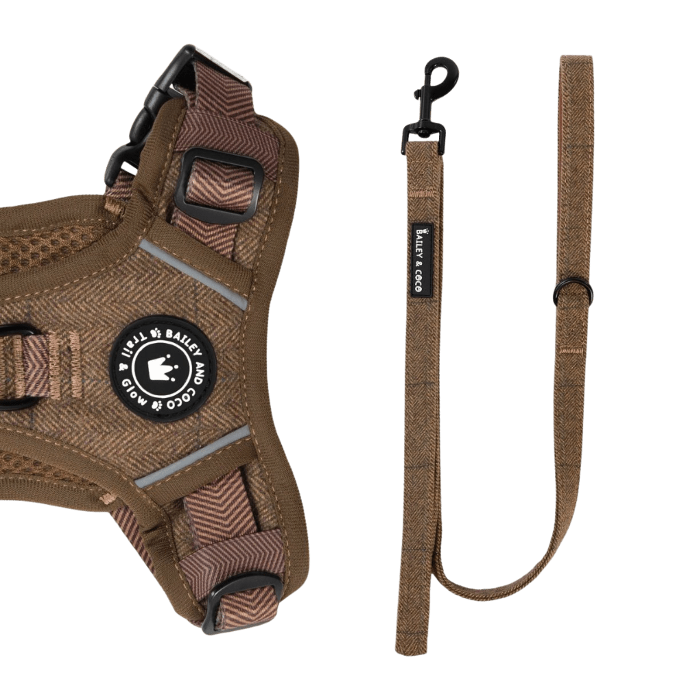 Oxford Tweed lead handle detail showing padded neoprene grip and additional D-ring for bag holder attachment