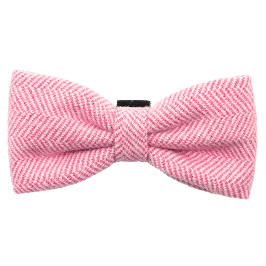 Bailey & Coco dog bow tie in Bubblegum Pink — wool mix, velcro collar attachment