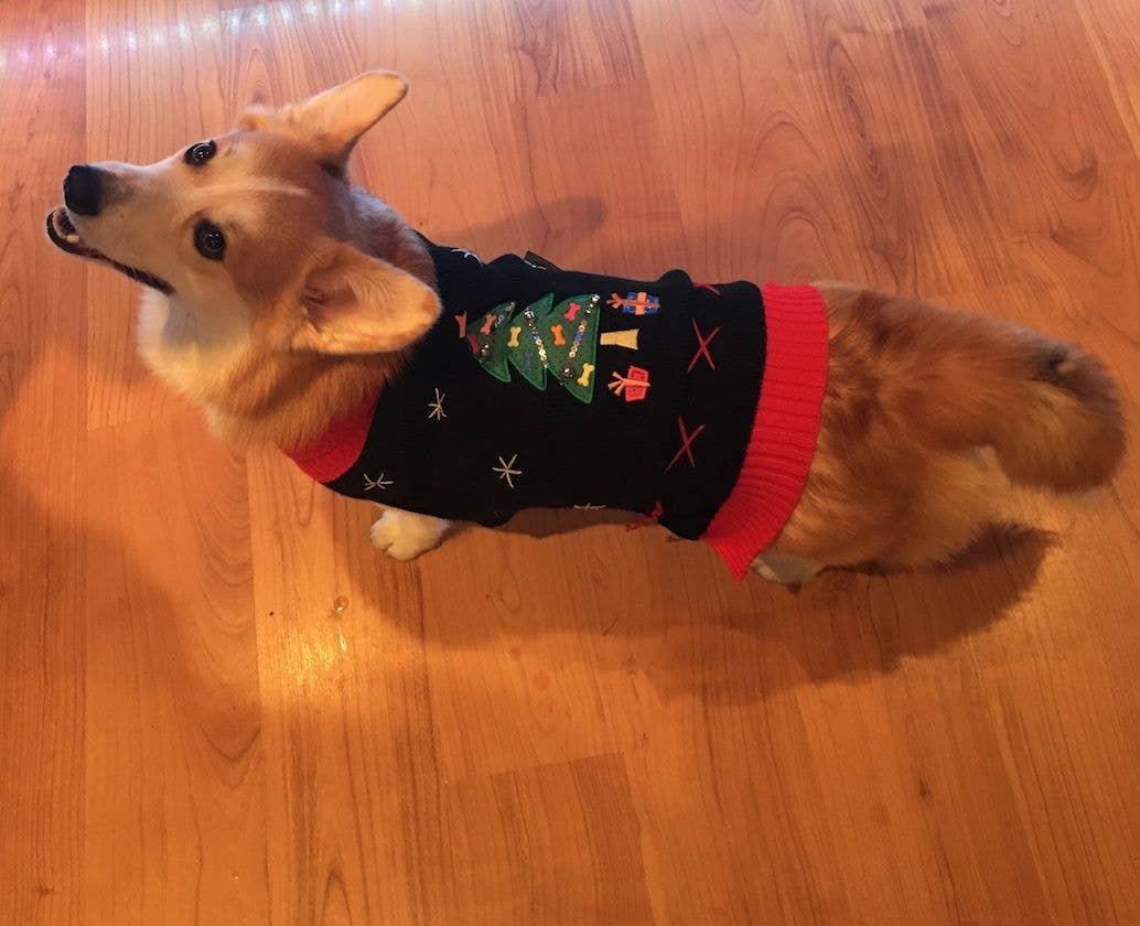 PetLondon Jingle Bell Christmas Tree Dog Jumper – image 2