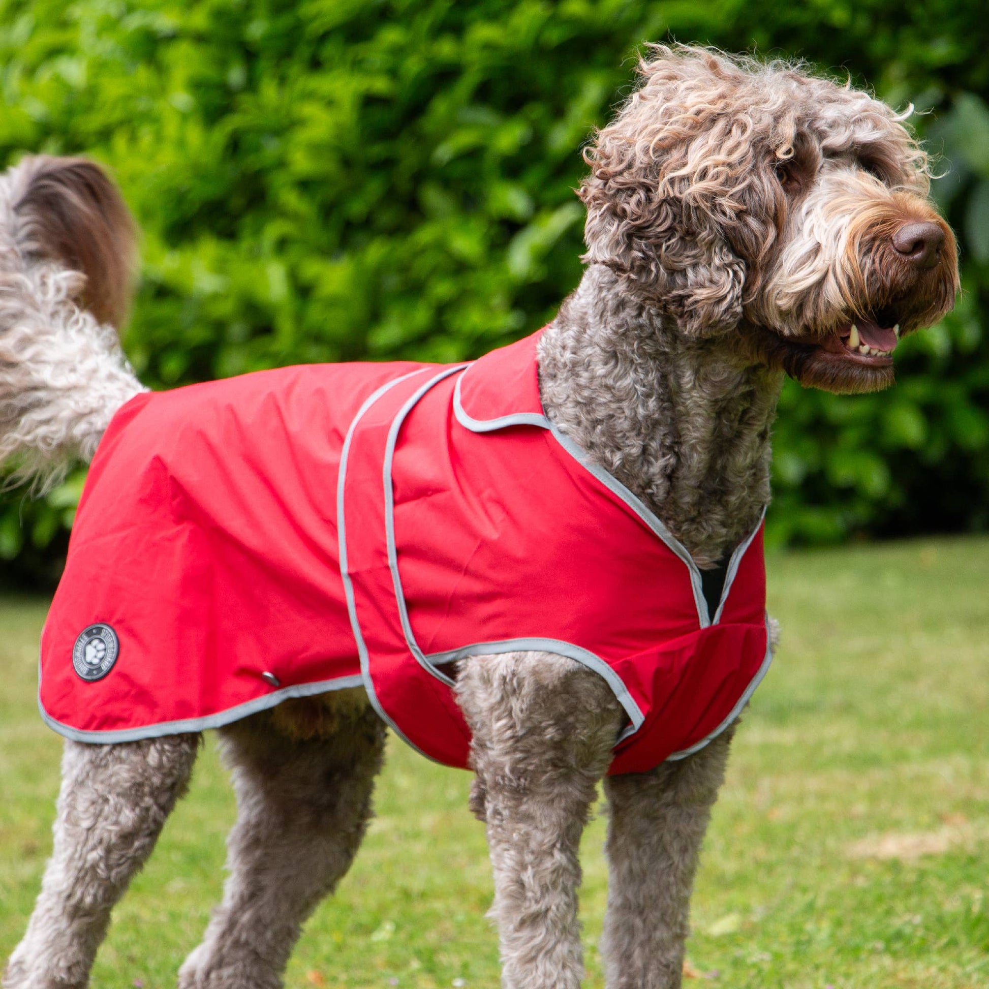 Ancol Stormguard Soft Shell dog coat in Bordeaux — side view