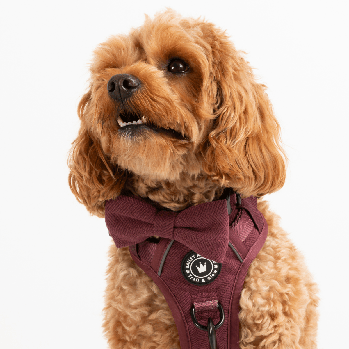 Bow Tie - Mulberry Tweed.