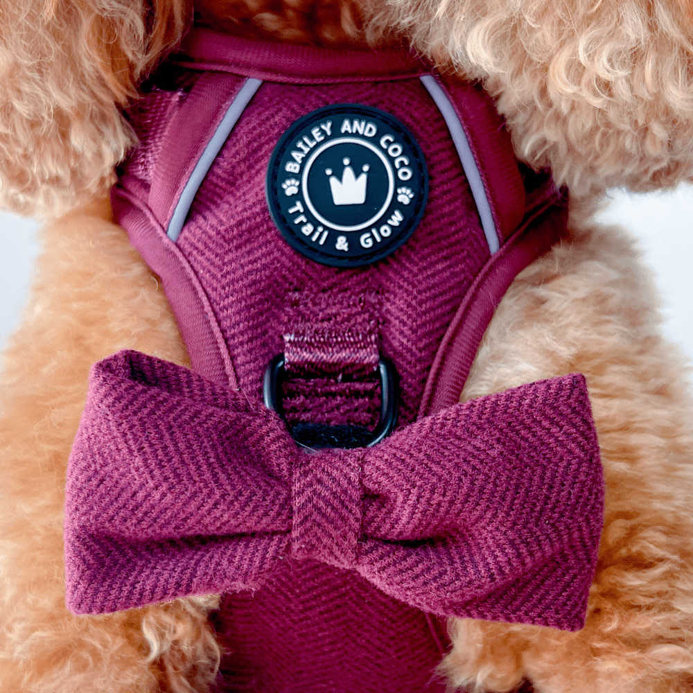 Trail & Glow® Dog Harness - Mulberry Tweed.