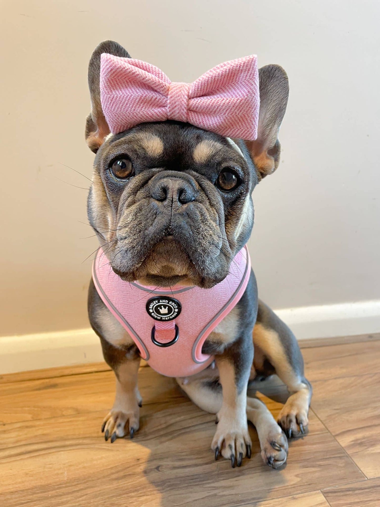 Bow Tie - Bubblegum Pink Tweed.