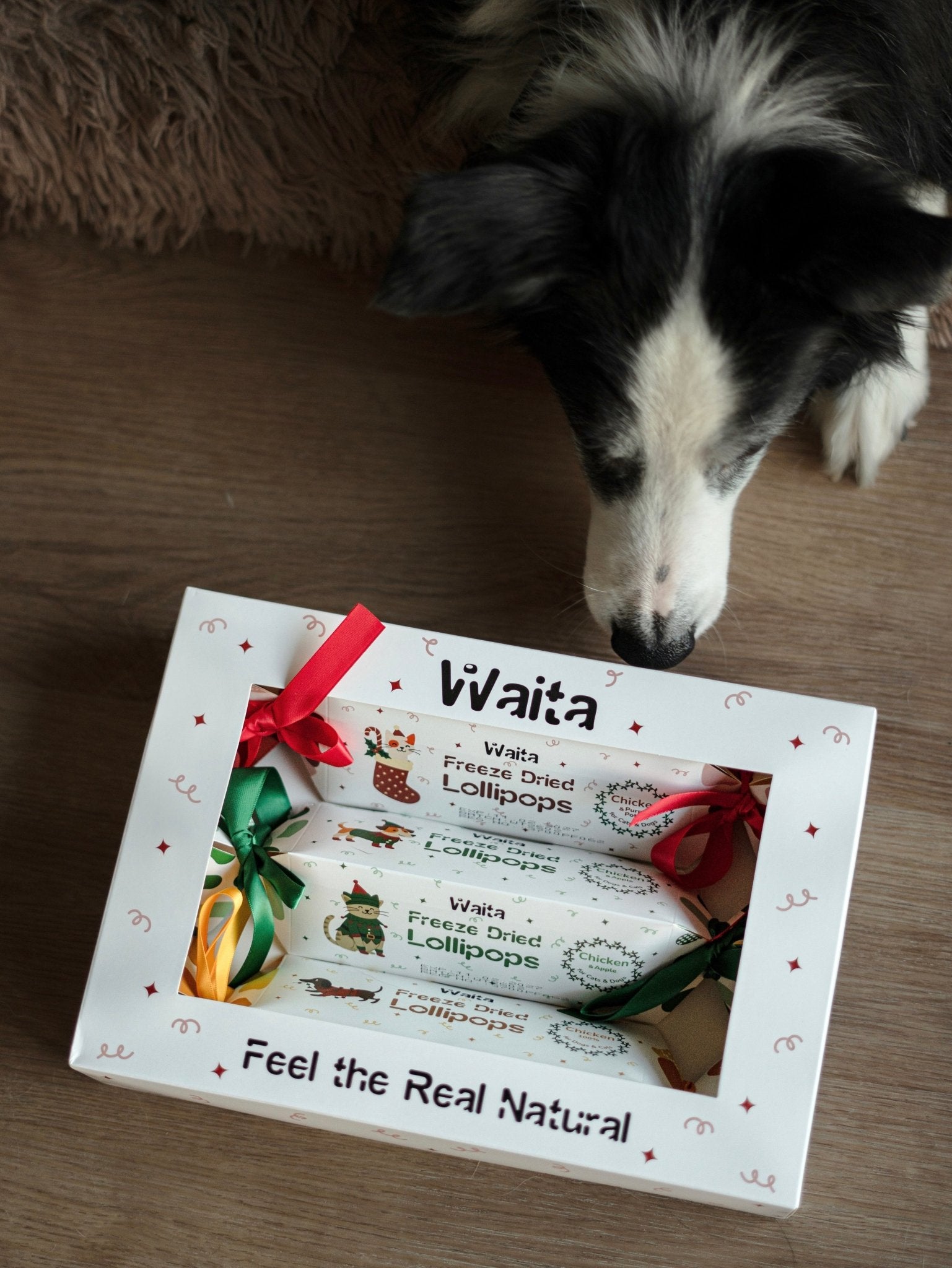 Waita Freeze-Dried Christmas Cracker Gift Box for Dogs & Cats - Hairy Dogs (Cambs) Ltd