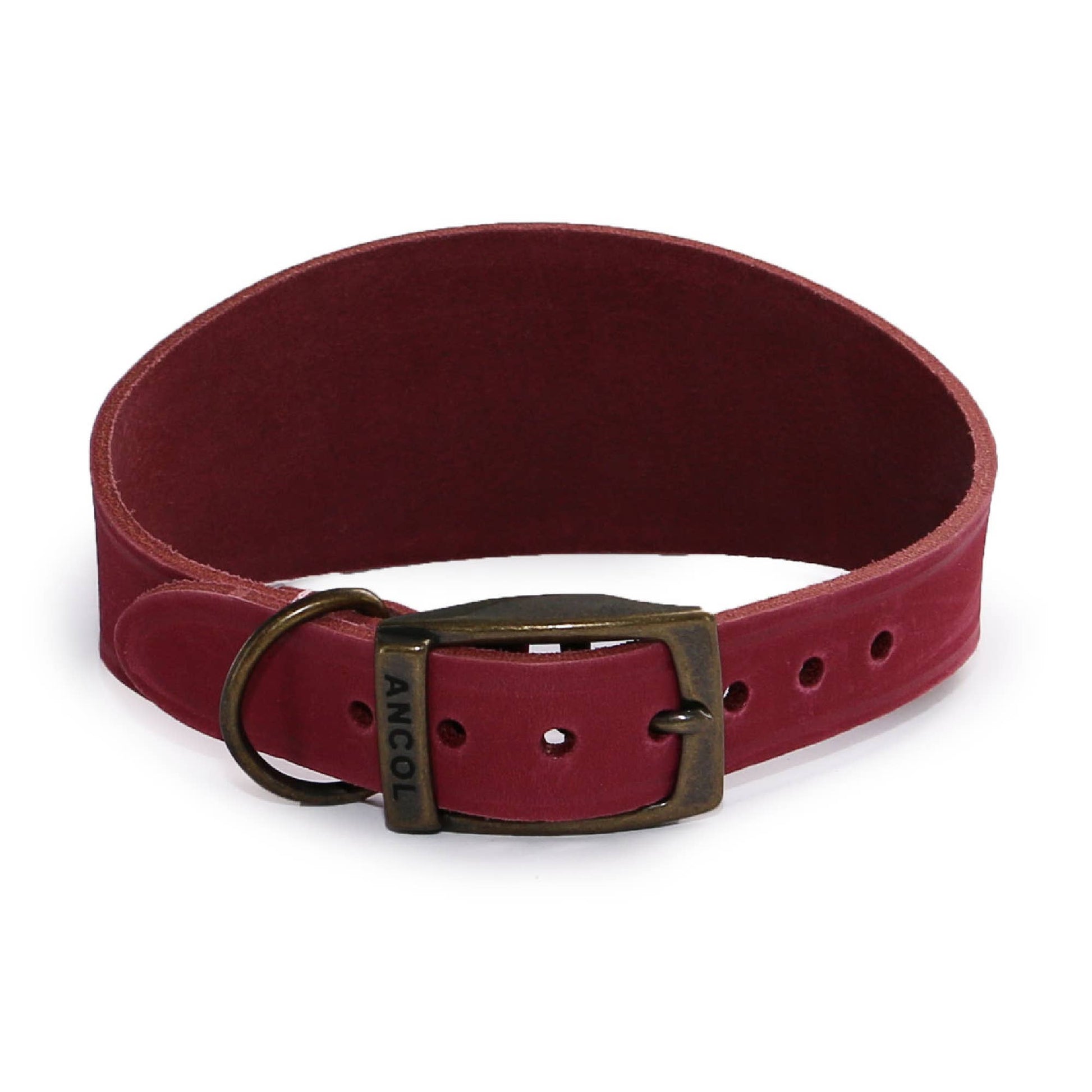 Timberwolf Hound Collar ( Size 34-43cm).