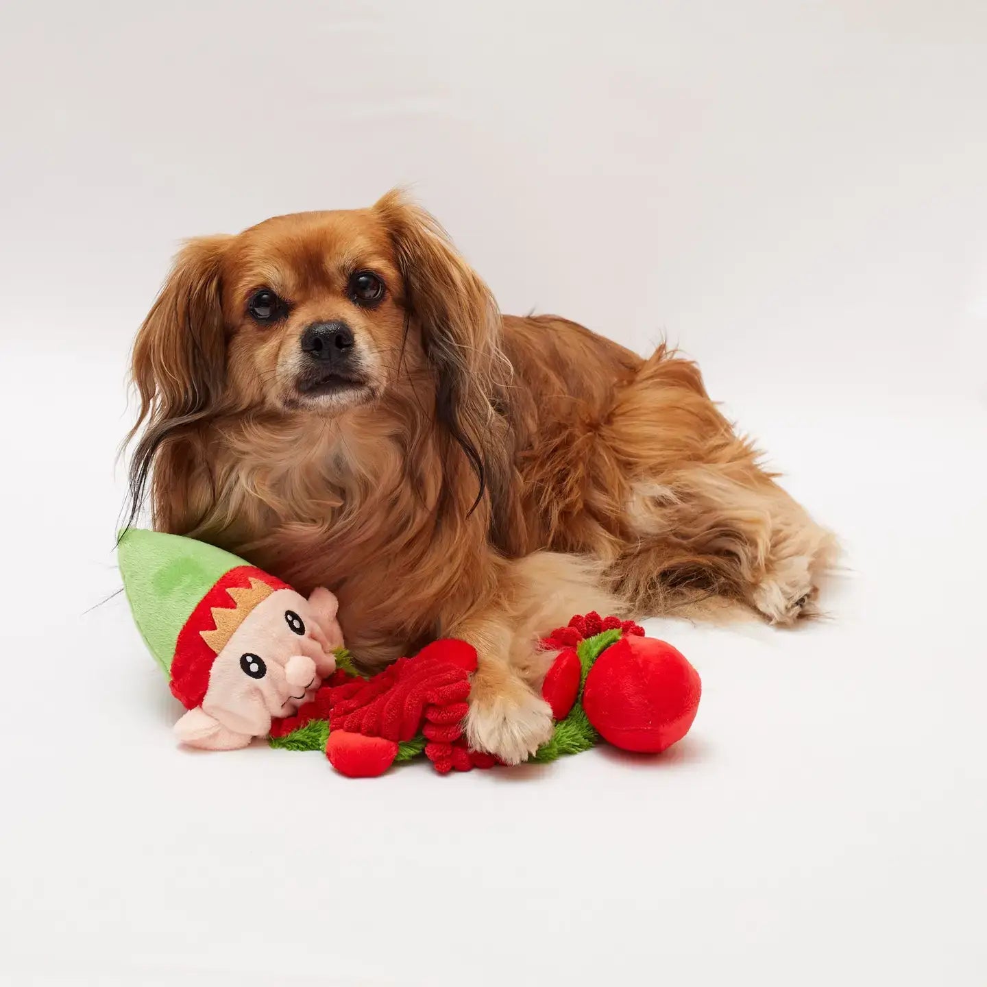 Bungee Elf Christmas Dog Toy – Stretchy Tug, Fetch & Squeaky Holiday Fun | No Stuffing, Durable & Interactive