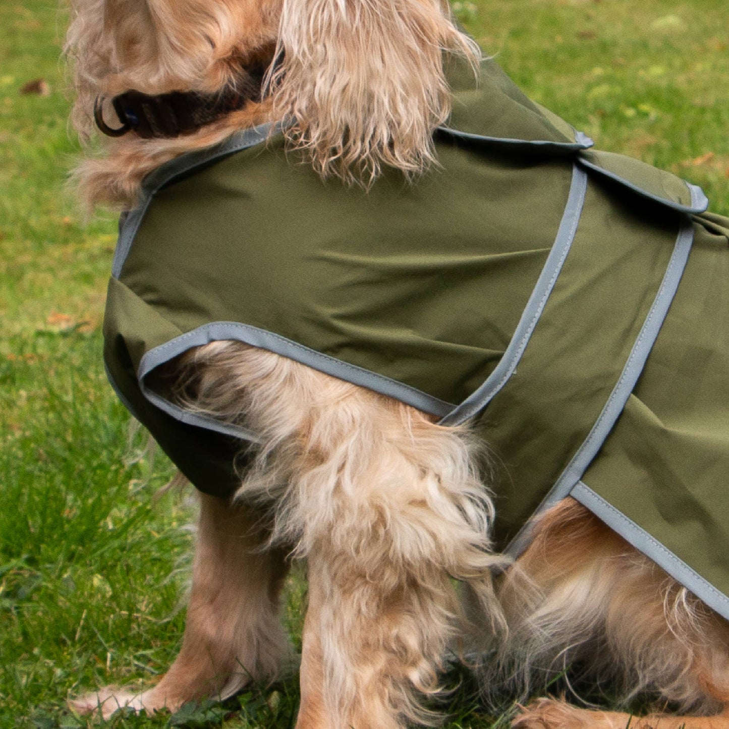 Stormguard Soft Shell  Dog Coat Khaki XS-XXL