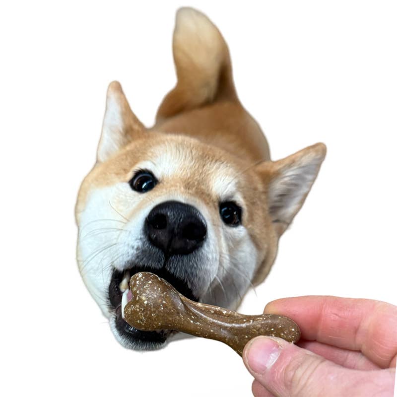 Dog enjoying Maks Patch Bed Time Biscuit – calming honey, fennel, and chamomile dog treat for nighttime relaxation.