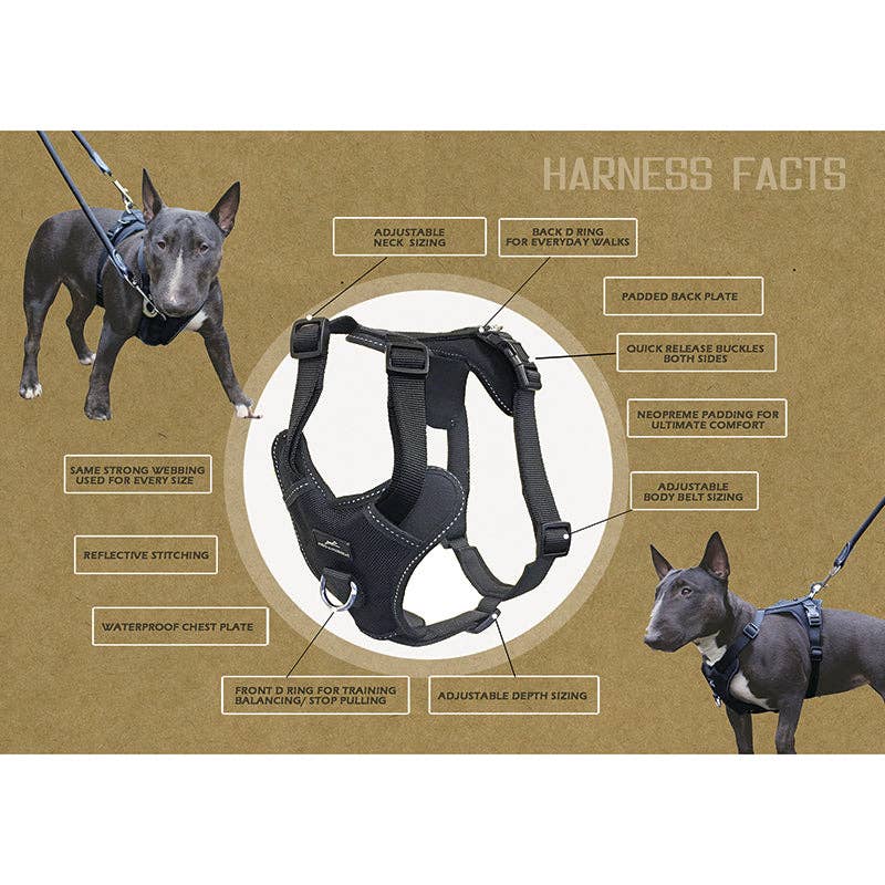 Miro & Makauri Adventurer Harness features diagram – adjustable and padded
