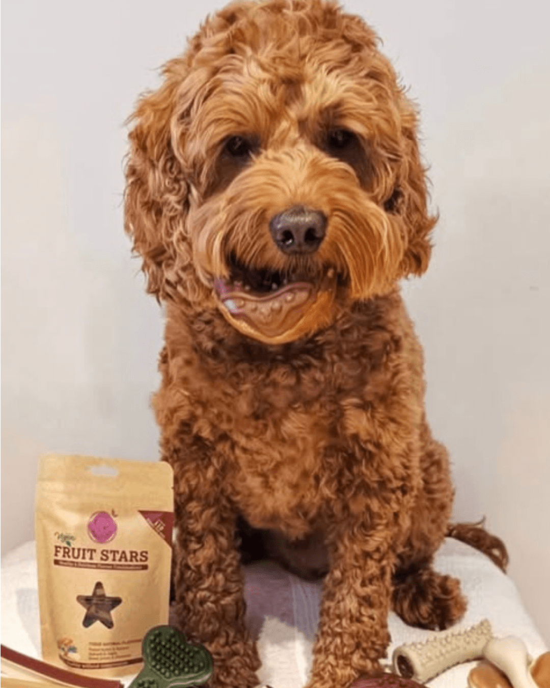 Maks'Patch Doggy Donut styled as a gifting treat for dogs to show the special-occasion use