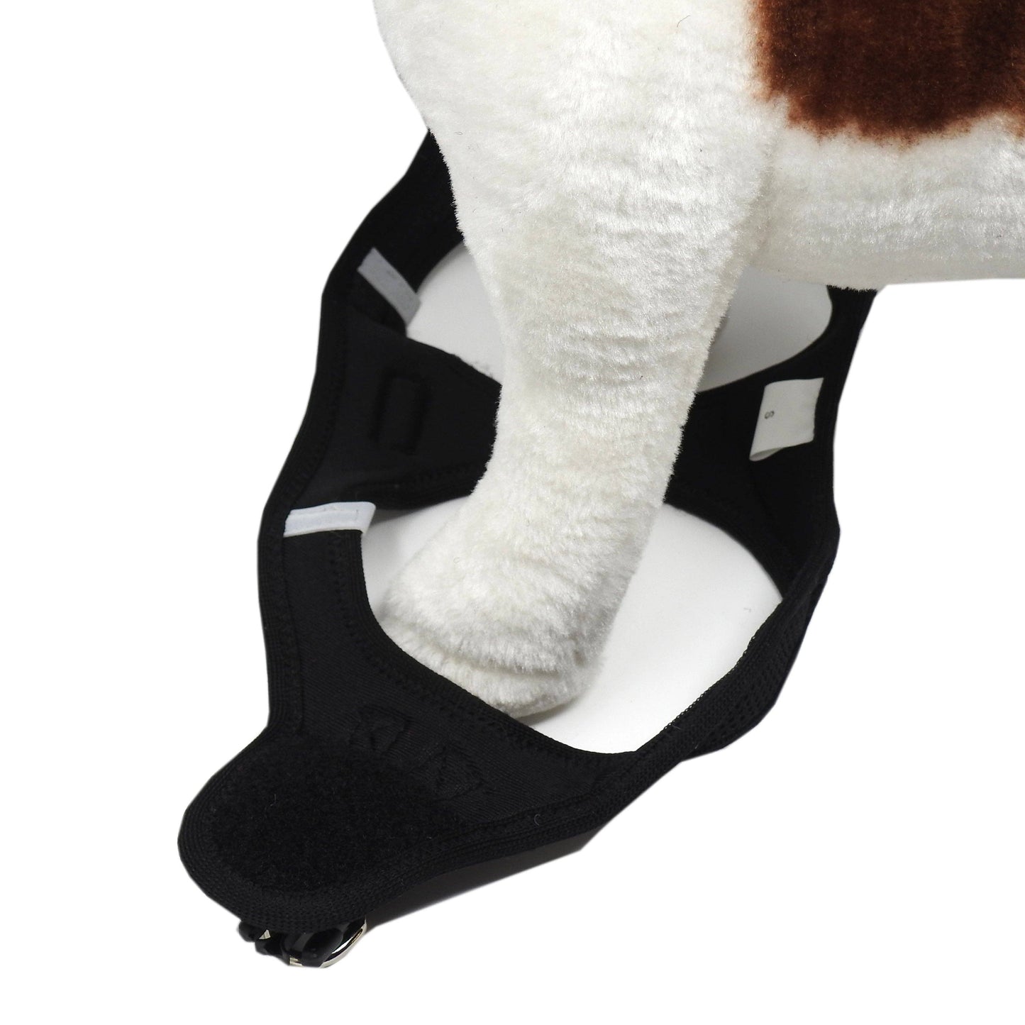 Close-up of a dog’s paw stepping into the Miro & Makauri Step-In Mesh Harness – easy step-in design.