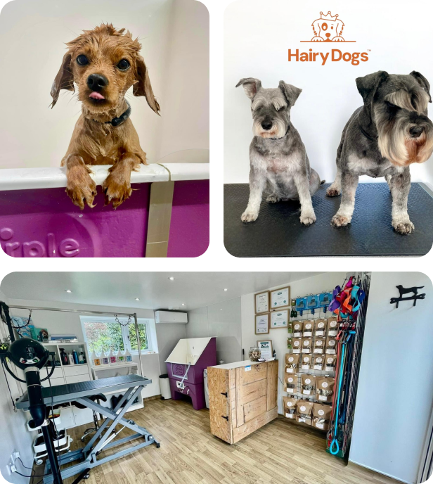our grooming saloon.png__PID:001754f9-3098-4310-9703-16ce89a2a4dc