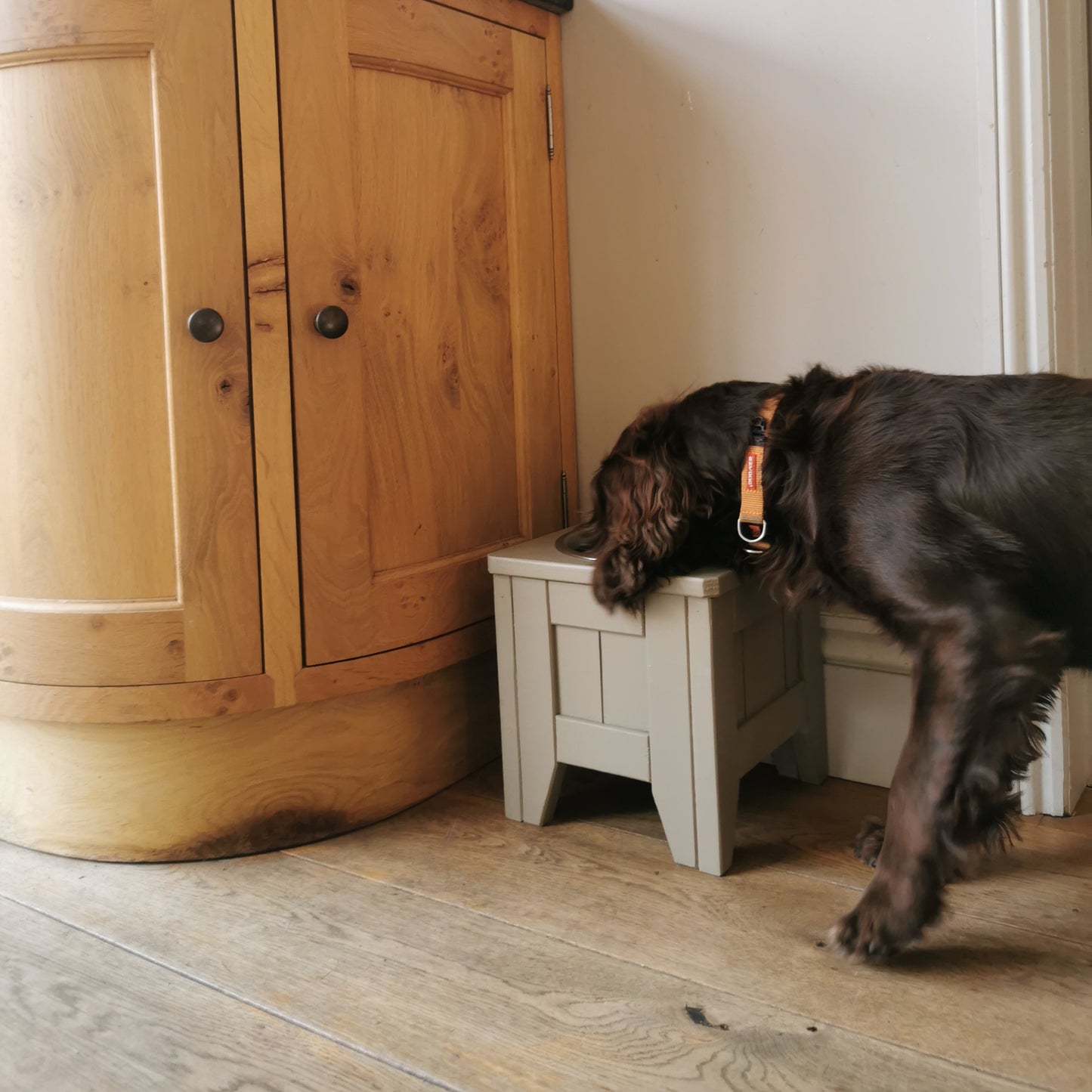 Single Raised Dog Bowl - Standard (27cm)