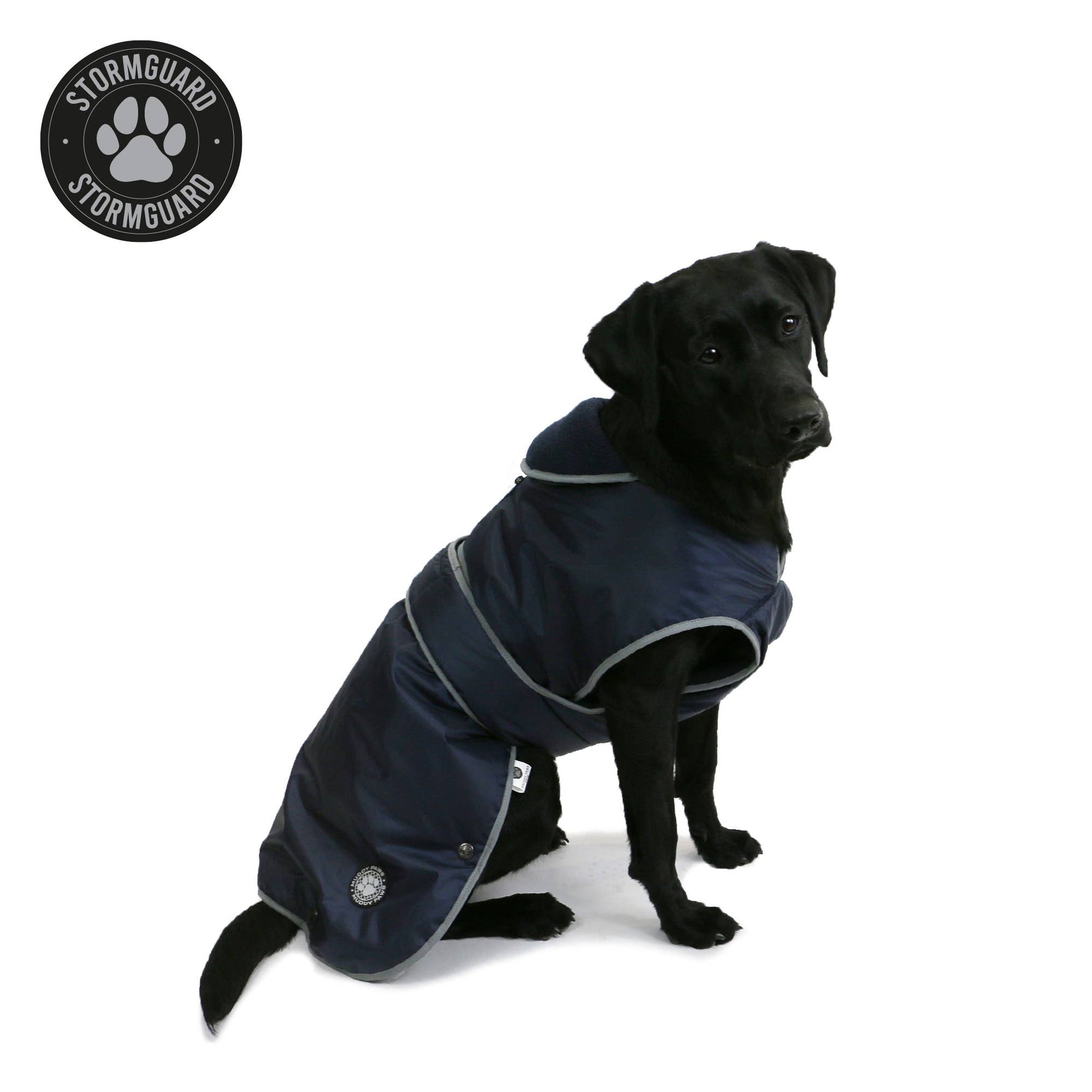 Black dog wearing Stormguard all weather dog coat in navy blue with full body coverage