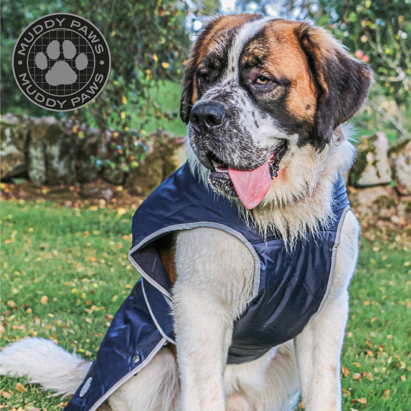 Large dog wearing Stormguard waterproof fleece lined dog coat outdoors on a muddy walk
