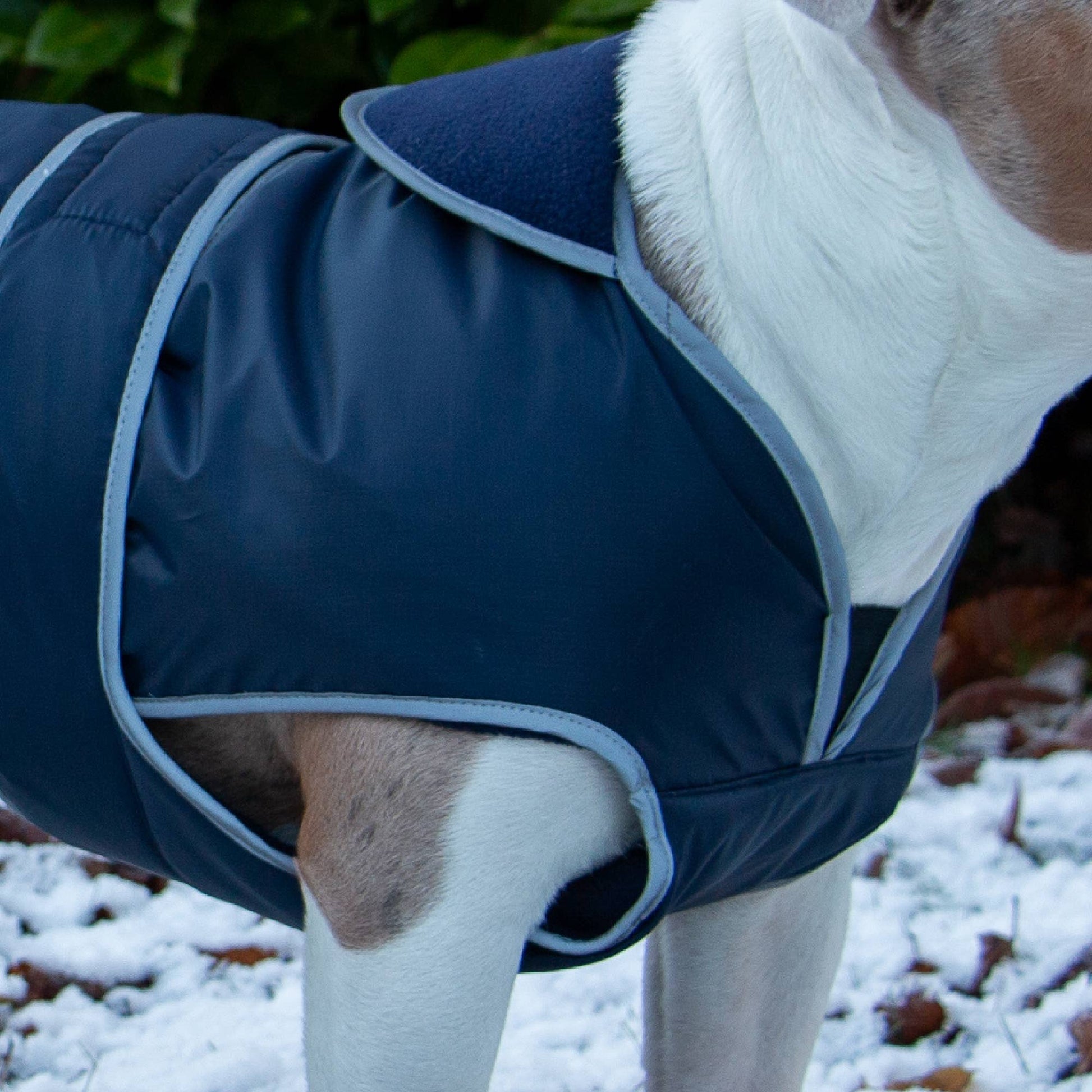 Stormguard splashguard dog coat showing full chest and underbelly protection in wet weather