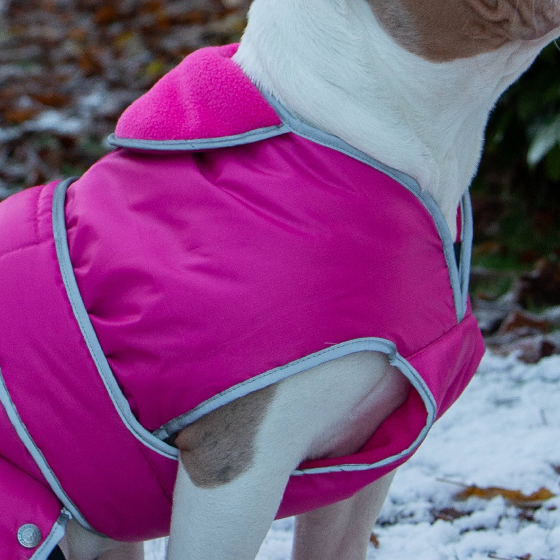 Stormguard pink dog coat showing fleece lined neck and reflective trim