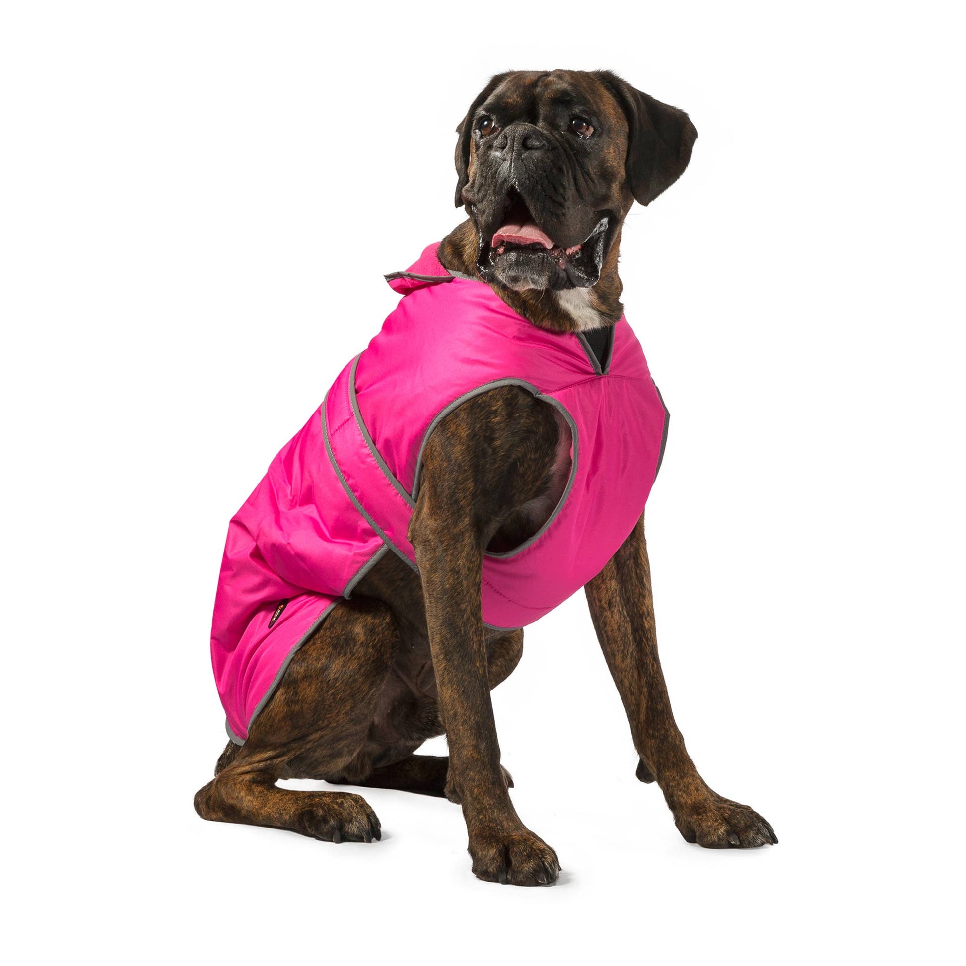 Large dog wearing Stormguard pink waterproof fleece lined dog coat